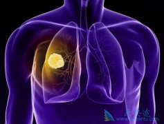 ��ͬ������ת����������ϰ�ά͡/����˹͡�Ƿ��в��죿