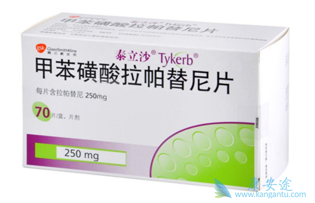 拉帕替尼 拉帕替尼