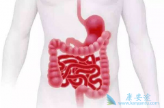 ���ڽ᳦����ת��;������Щ��������ߴ�����Щ�˺���