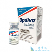 �������䵥����Ϊ���ں�ɫ�������ߴ��������������