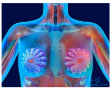 ���������HER2���ڵ�ͻ������ٰ�������Ч��