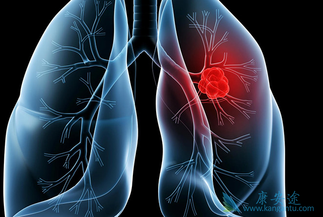 达克替尼 达克替尼