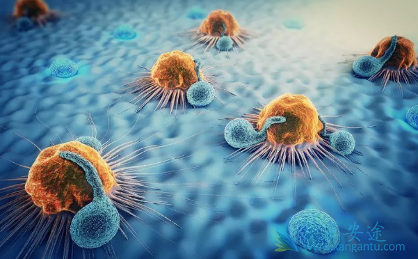 肺癌化疗 肺癌化疗