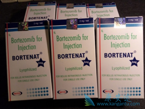 硼替佐米 硼替佐米