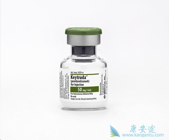 PD-1抗体 PD-1抗体