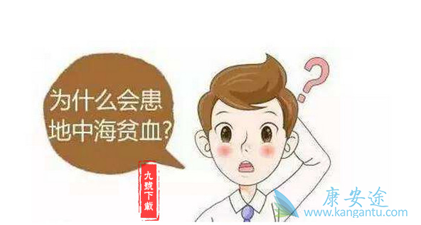 地中海贫血 地中海贫血