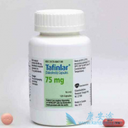 ������������򵽴�������(Tafinlar)��