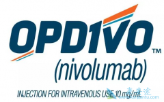 PD-1�������Ƽ����䵥������ķ�������Ƹΰ��ĸ�Ч�����ã�