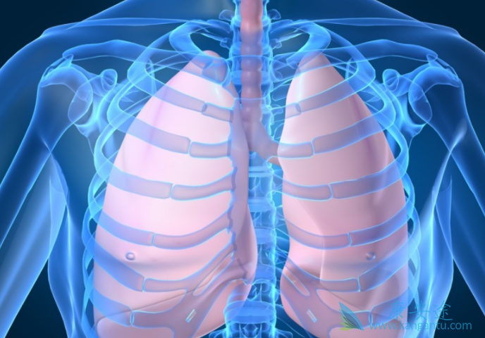 尼达尼布 尼达尼布