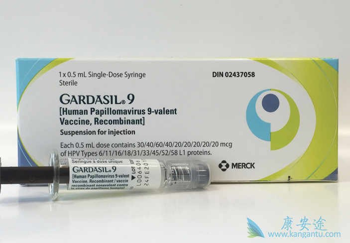 人乳头瘤病毒 人乳头瘤病毒