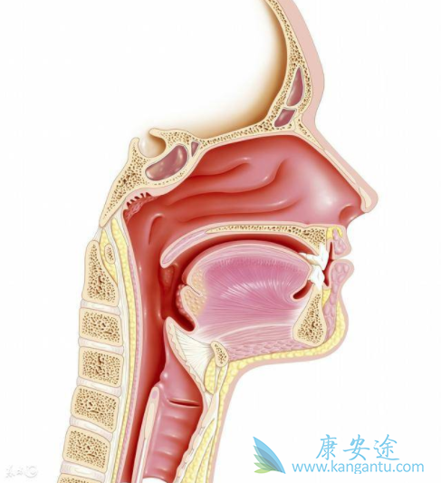 鼻咽癌治疗 鼻咽癌治疗