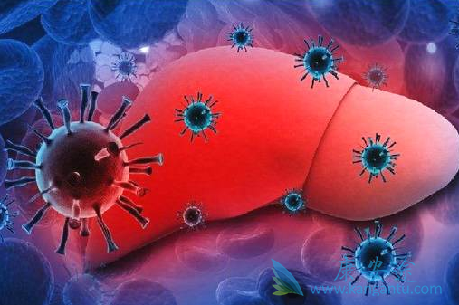 恩替卡韦分散片 恩替卡韦分散片