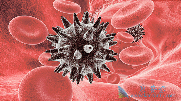 多发性骨髓瘤 多发性骨髓瘤