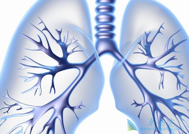 肺动脉高压 肺动脉高压