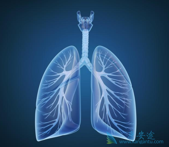 肺癌新药 肺癌新药