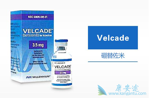 硼替佐米 硼替佐米