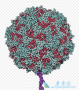 ��������ײ��������м��֣�����ʲô��ȱ�㣿