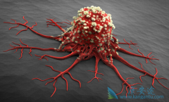 ���������������������������Щ����������֣�