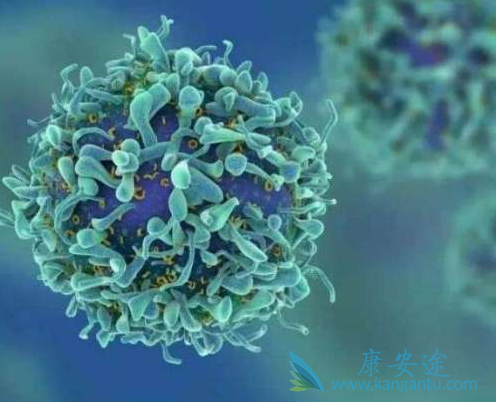 良性肿瘤与恶性肿瘤的区别 良性肿瘤与恶性肿瘤的区别