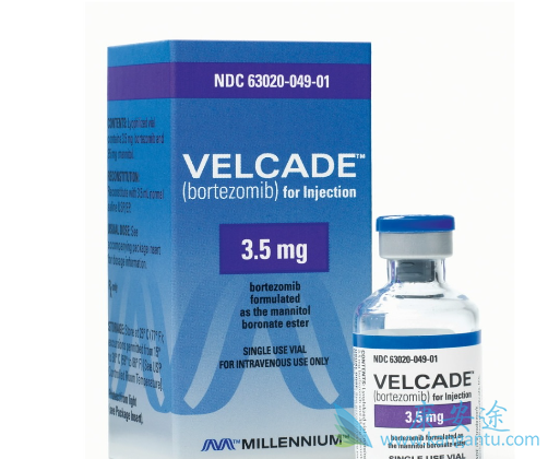 硼替佐米 硼替佐米