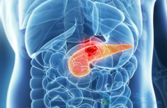 �������ٰ��ܻ��ã�����������Щ������أ�