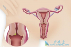 �������ӹ�����������ʲô���ã��ʺ���Щ���ߣ�