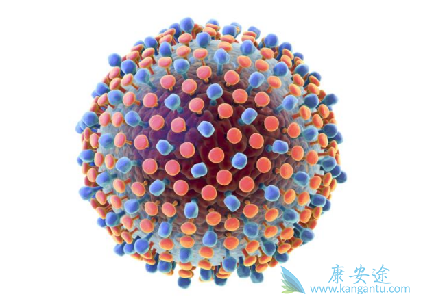 丙肝病毒 丙肝病毒
