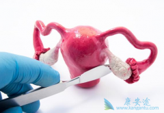 ���ȶԸ�����������ĳ������ָܻ��͸�����ʳ��������Ч��