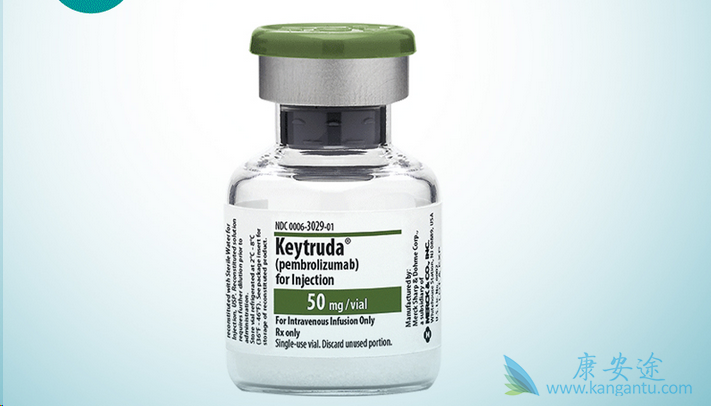 黑色素瘤 黑色素瘤