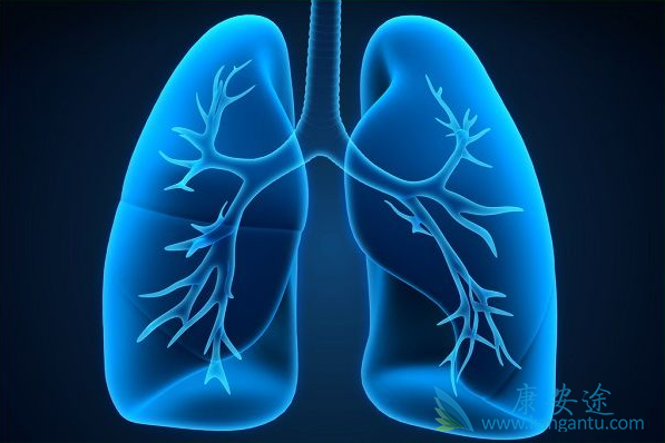 肺部疾病 肺部疾病