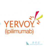 ��ƥ����(Ipilimumab)�ڹ��ڻ�����������