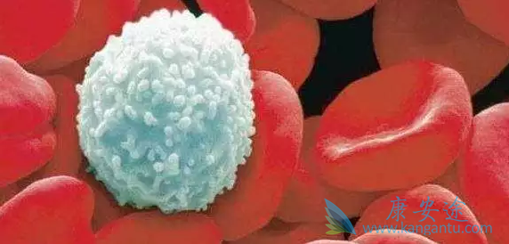 白血病的病因 白血病的病因