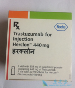 �����鵥��(trastuzumab)��ҩ����ô�죿
