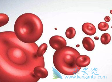 血小板减少紫癜 血小板减少紫癜