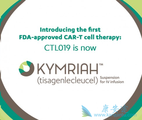 CAR-T免疫疗法 CAR-T免疫疗法