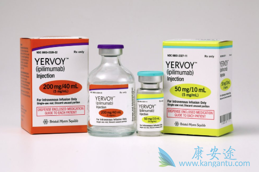 免疫检查点抑制剂 免疫检查点抑制剂