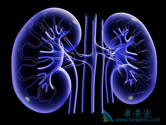 肾癌转移 肾癌转移