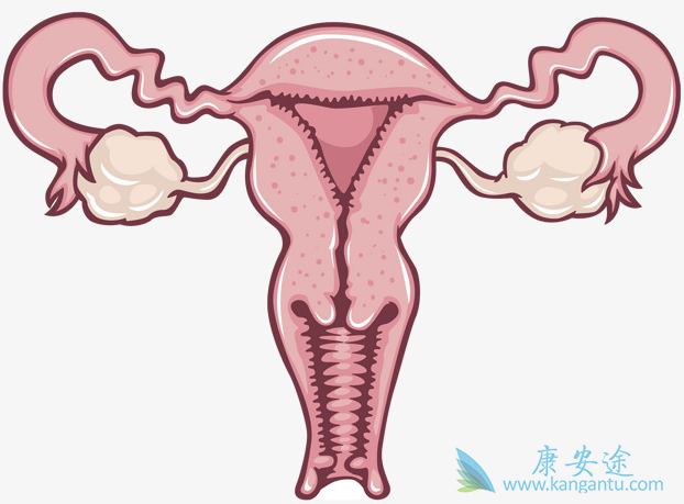 宫颈癌的原因 宫颈癌的原因