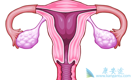 宫颈癌的原因 宫颈癌的原因