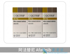 ������������ϣ�����Ϊ����EGFRͻ���ͷΰ����ߴ��������������