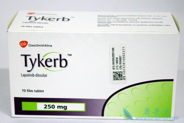 拉帕替尼 拉帕替尼