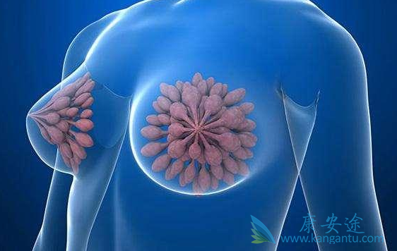 乳腺癌内分泌治疗 乳腺癌内分泌治疗