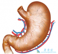 Ԥ��θ������Ҫ����Щ��飿θ���������ʺ�������Ⱥ��