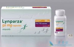 ��������(Olaparib)�����ѳ����нϺõ���Ч�밲ȫ��