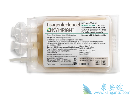 CAR-T疗法 CAR-T疗法