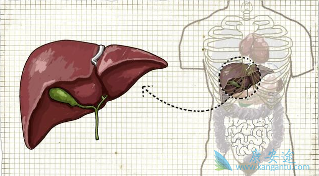 肝硬化治疗 肝硬化治疗
