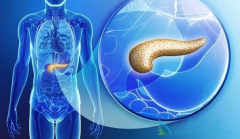 ���ٰ������ܻ��ã�����ӳ����ٰ����ߵ������ڣ�