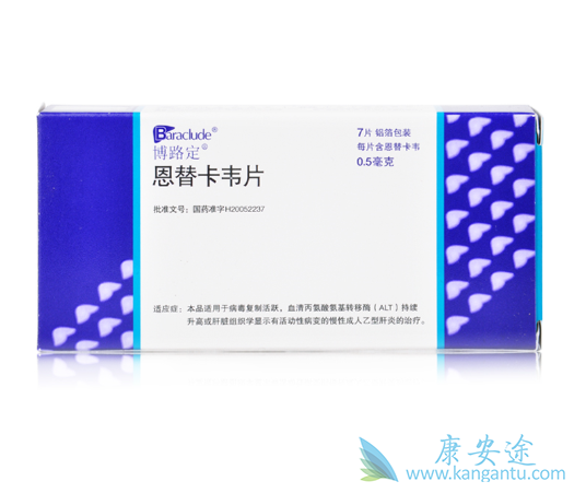 恩替卡韦 恩替卡韦