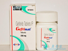 �ΰ����߷��ü�������(Gefitinib)����Ƥ����������δ�����