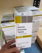 ��������(Afatinib)�ܸ��Ʒΰ�֢״��